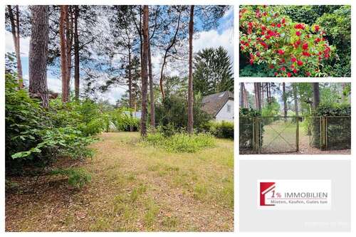 Foto - Grundstück zu verkaufen in Dahlwitz-Hoppegarten 215.000,00 € 438 m²