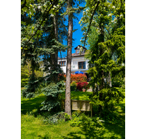 Haus zum Kaufen in Usingen 895.000,00 € 195 m²