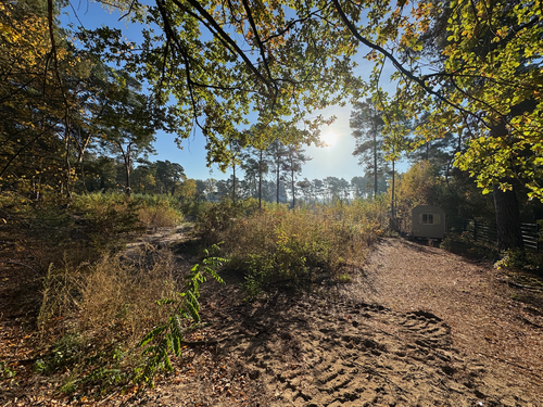 Foto - Grundstück zu verkaufen in Heidesee 160.000,00 € 1033 m²