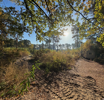 Grundstück zu verkaufen in Heidesee 160.000,00 € 1033 m²