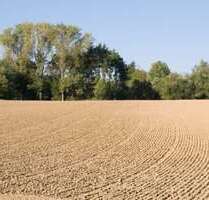 Spezialgewerbe in Buch 550.000,00 €