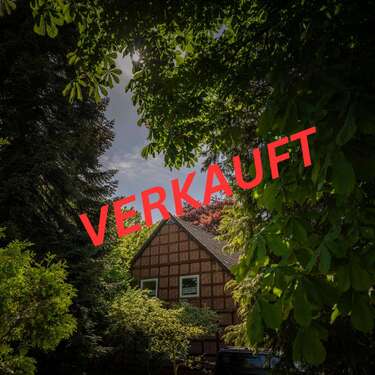 Foto - Haus zum Kaufen in Diepholz 361.500,00 € 297 m²