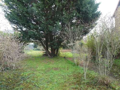 Foto - Grundstück zu verkaufen in Mutterstadt 250.000,00 € 720 m²