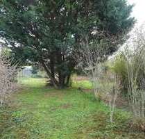 Grundstück zu verkaufen in Mutterstadt 250.000,00 € 720 m²