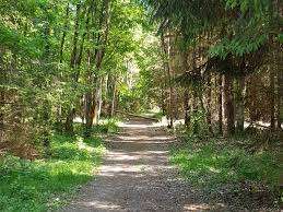 Foto - Wohnung zum Kaufen in Putzbrunn 379.000,00 € 61.84 m²