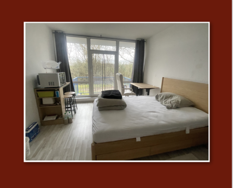 Foto - Wohnung zum Mieten in Mainz Lerchenberg Ober-Olm 460,00 € 26.5 m²