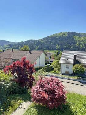 Foto - Haus zum Kaufen in Seelbach 399.000,00 € 153 m²