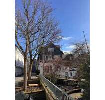 Wohnung zum Kaufen in Siegen 130.000,00 € 43 m²