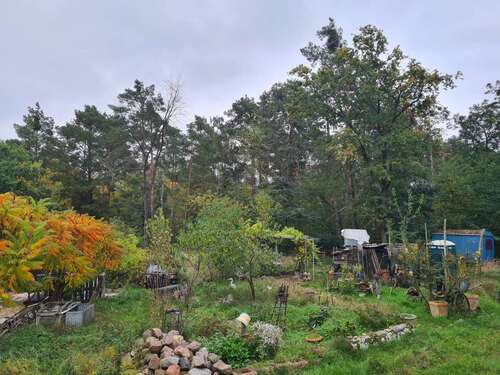 Foto - Grundstück zu verkaufen in Werder (Havel) OT Alt-Töplitz 220.000,00 € 46100 m²