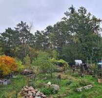 Grundstück zu verkaufen in Werder (Havel) OT Alt-Töplitz 220.000,00 € 46100 m²