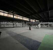 Halle in Halle (Saale) 2.995,07 € 665.57 m²