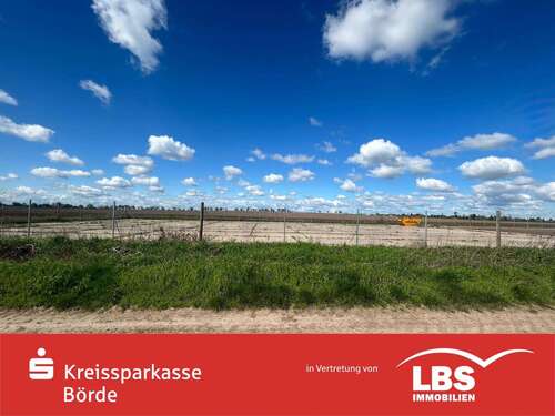 Foto - Grundstück in Wanzleben-Börde 77.000,00 € 1927 m²