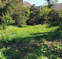 Grundstück zu verkaufen in Rodenbach 429.000,00 € 1116 m²