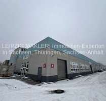 Halle in Halle (Saale) 3.206,25 € 712.5 m²