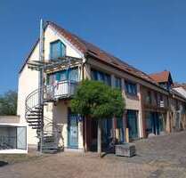 Wohnung zum Mieten in Mutterstadt 790,00 € 50 m²