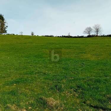 Foto - Grundstück zu verkaufen in Burbach 90.000,00 € 2000 m²