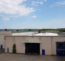 Halle in Kerpen 3.500,00 € 717 m²