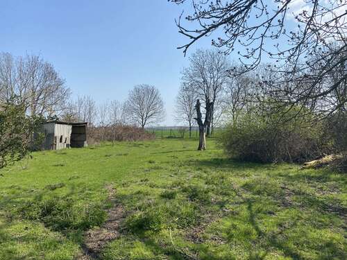 Foto - Grundstück zu verkaufen in Wiedemar OT Rabutz 90.000,00 € 726 m²