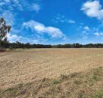 Grundstück in Neustadt 457.000,00 € 36454 m²