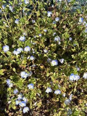 Foto - Grundstück zu verkaufen in Neusäß 3.100.000,00 € 3829 m²