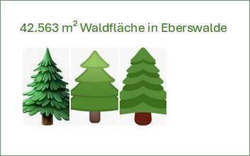 Foto - Grundstück in Eberswalde 50.000,00 € 42563 m²