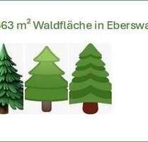 Grundstück in Eberswalde 50.000,00 € 42563 m²