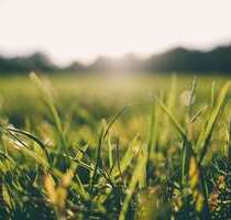 Grundstück zu verkaufen in Wörthsee 1.790.000,00 € 1670 m²