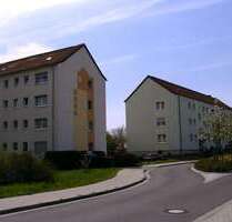 Wohnung zum Mieten in Schipkau 285,00 € 56 m²