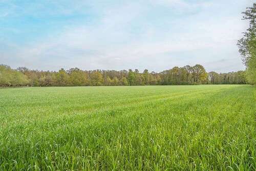 Foto - Grundstück in Hövelhof 1.684.900,00 € 96280 m²