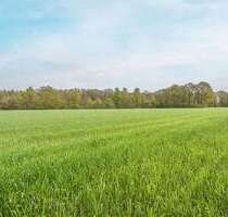 Grundstück in Hövelhof 89.000,00 € 5123 m²