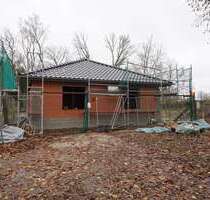 Haus zum Kaufen in Colbitz 295.000,00 € 90 m²