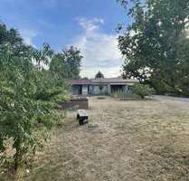 Grundstück zu verkaufen in GrimmaHohnstädt 110.000,00 € 596 m² - Grimma/Hohnstädt