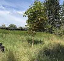 Grundstück zu verkaufen in Bienenbüttel 283.500,00 € 945 m²