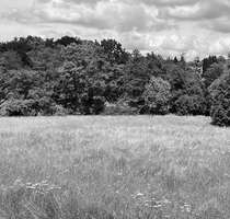 Grundstück zu verkaufen in Frankfurt am Main 4.200.000,00 € 5084 m²