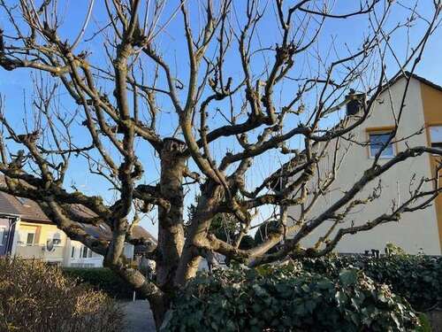 Foto - Haus zum Kaufen in Wiesbaden 534.000,00 € 137 m²