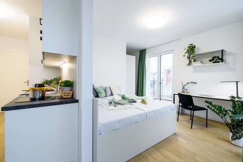 Foto - Wohnung zum Mieten in Potsdam 850,00 € 30.16 m²