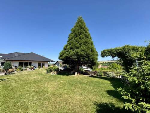 Foto - Haus zum Kaufen in Marnheim 395.000,00 € 218.99 m²