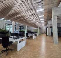 Büro in Karlsruhe 8.949,50 € 511.4 m²