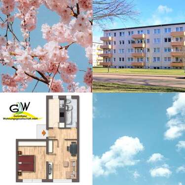 Foto - Wohnung zum Mieten in Braunsbedra 284,00 € 47.2 m²