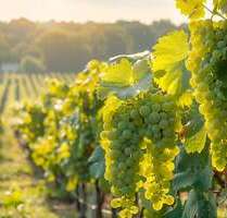 Gastronomie in Schramberg 1.900.000,00 € 1000 m²