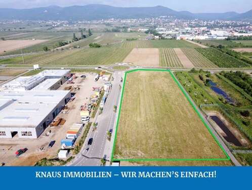 Foto - Grundstück in Neustadt an der Weinstraße 875.000,00 € 2500 m²