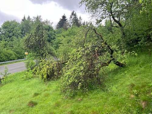 Foto - Grundstück zu verkaufen in Schönsee 29.000,00 € 649 m²