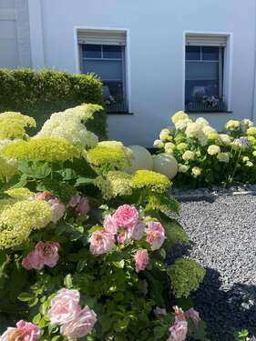 Foto - Haus zum Kaufen in Mönchengladbach 349.000,00 € 130 m²