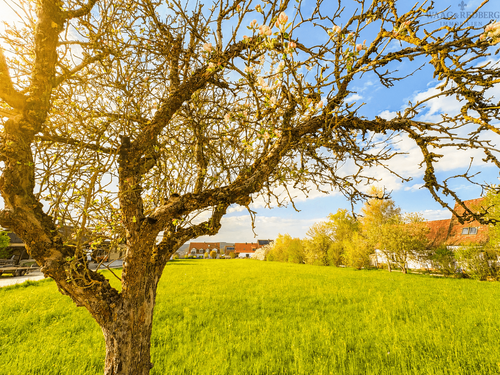 Foto - Grundstück zu verkaufen in Spalt 690.000,00 € 4000 m²