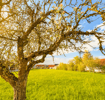 Grundstück zu verkaufen in Spalt 690.000,00 € 4000 m²