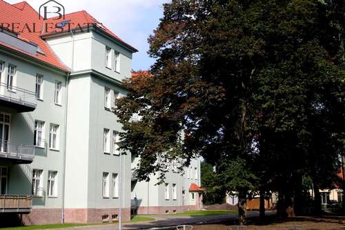 Foto - Wohnung zum Mieten in Magdeburg 360,00 € 47.7 m²