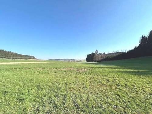 Foto - Grundstück in Kirchhaslach Herretshofen 119.000,00 € 18974 m²