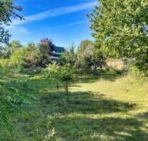 Grundstück zu verkaufen in Heckelberg-Brunow 45.000,00 € 1039 m²