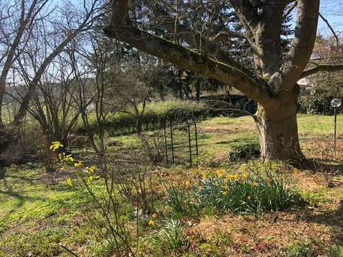 Foto - Haus zum Kaufen in Framersheim 449.000,00 € 170 m²