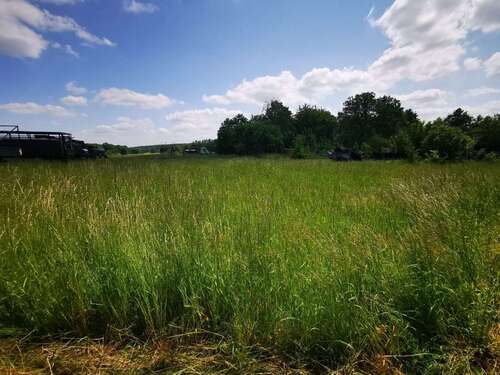 Foto - Grundstück zum Mieten in Ottendorf-Okrilla 4.380,48 € 1255 m²